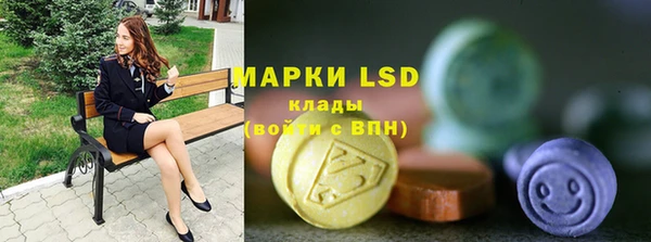 бошки Лабытнанги
