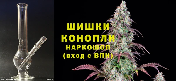 прущие грибы Лагань