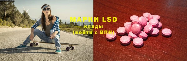прущие грибы Лагань
