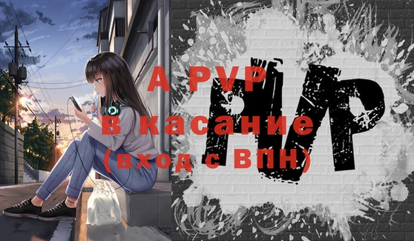 бошки Лабытнанги